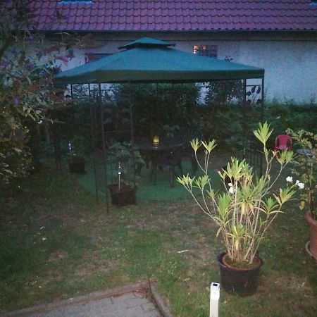 Ferienwohnung Am Finkenherd Dankerode  Esterno foto