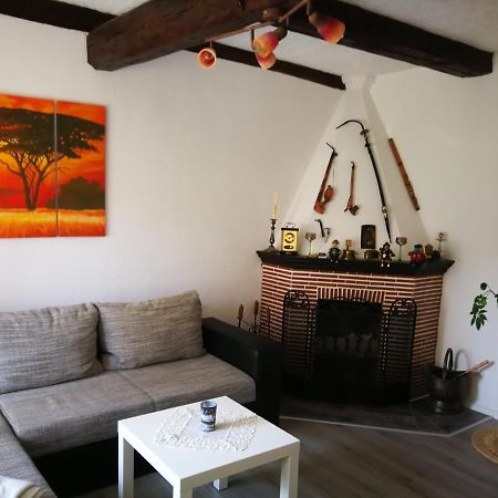 Ferienwohnung Am Finkenherd Dankerode  Esterno foto