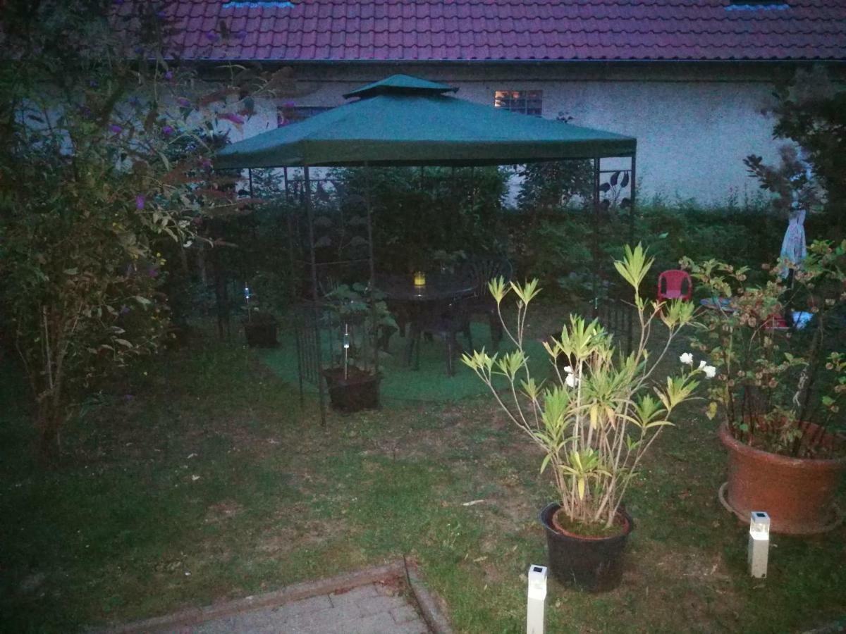 Ferienwohnung Am Finkenherd Dankerode  Esterno foto