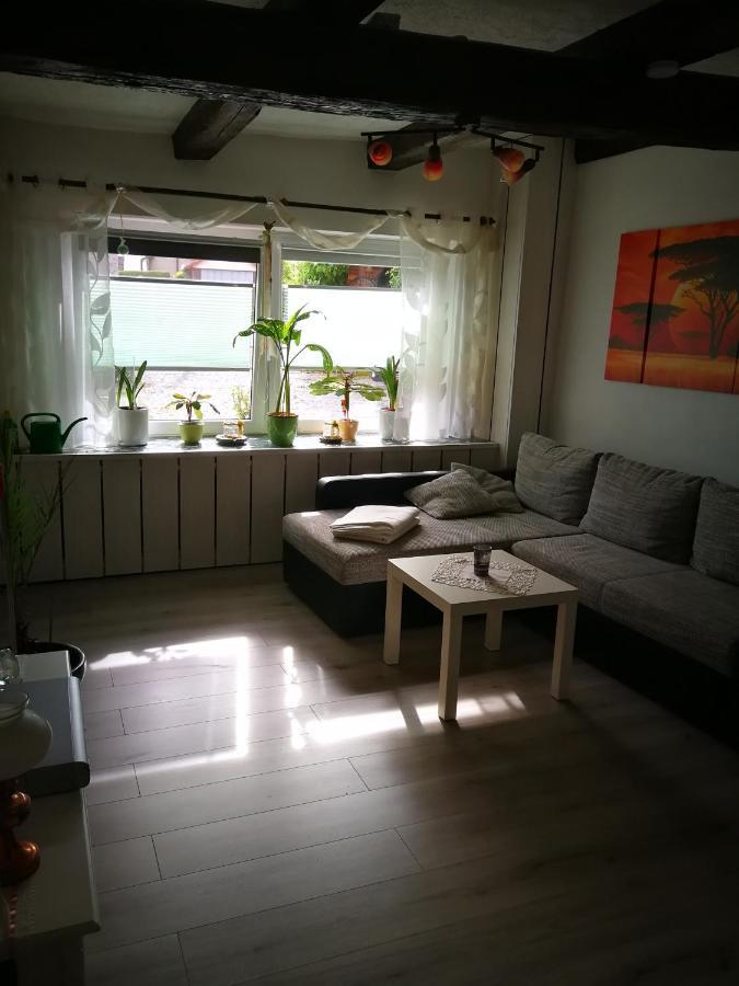 Ferienwohnung Am Finkenherd Dankerode  Esterno foto